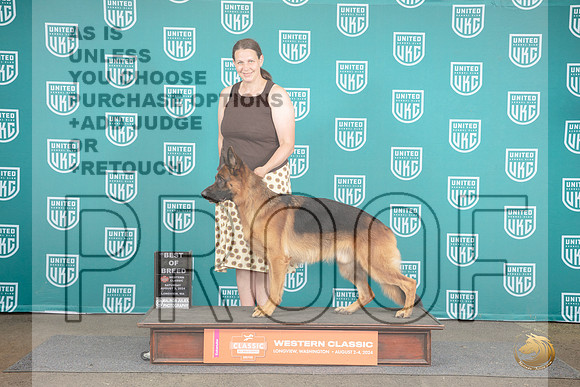 German Shepherd Dog #340 Sat BOB G4 TD Judge Malinda Julien__JP_1723_Longview WA_2024_HR3