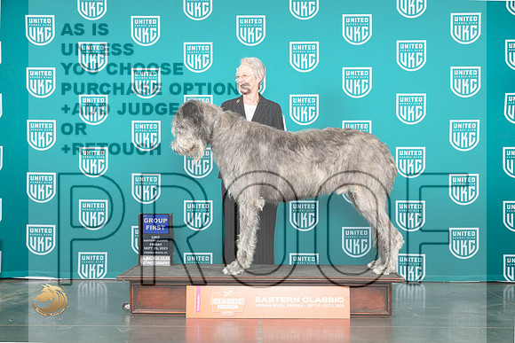 Irish Wolfhound #286 Fri G1 Judge Malinda Julien_JP_5144_UKCVA2023_HR3