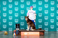 Mix #238 Fri Rally 2 Judge Silkie Satzinger