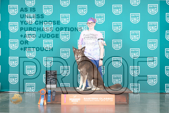 Mix #238 Fri Rally 2 Judge Silkie Satzinger_JP_5154_UKCVA2023_HR3