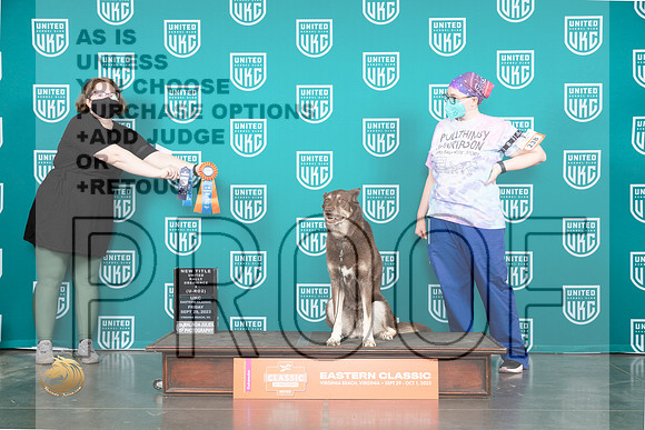 Mix #238 Fri Rally 2 Judge Silkie Satzinger_JP_5162_UKCVA2023_HR3