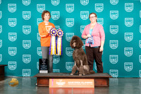 Poodle Std #249 Fri HIT Judge Silke Satzinger