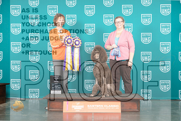 Poodle Std #249 Fri HIT Judge Silke Satzinger_JP_5226_UKCVA2023_HR3