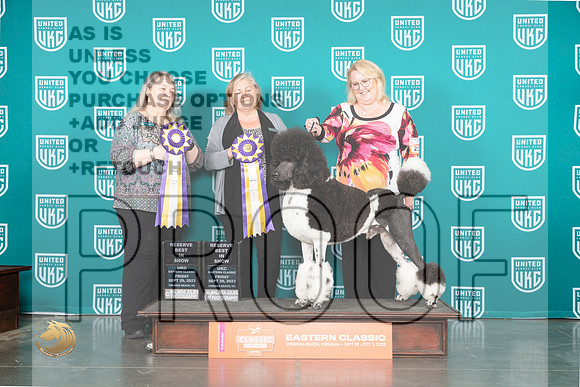 Poodle Std MC #271 Fri RBIS Judge Tracey Kallas_JP_5217_UKCVA2023_HR3
