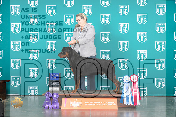 Rottweiler #174 Fri G1_JP_5232_UKCVA2023_HR3