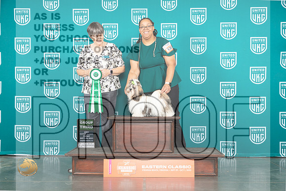 Shih Tzu #138 Fri G3 Judge Sheree Sanchez_JP_5149_UKCVA2023_HR3