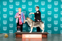 Siberian Husky #116 Fri G2 Judge Mary Ellen Meyer