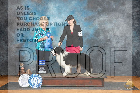 Border Collie #7 Sat G1 Judge Lisa Graser__JP_8336_MARSHALL_2024_HR3