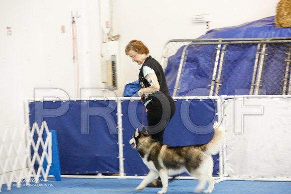 _M3_7718-AddisonHuskyMar2015-HR3