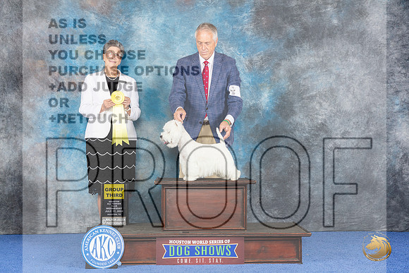 Westhighland White Terrier #5 WED G3 Judge Christine Erickson__JP_7009_Houston_2024_HR3