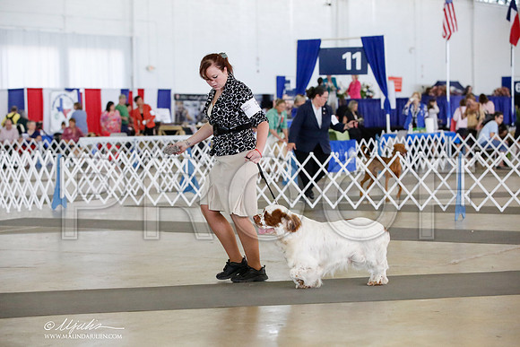 _HR_5537-DallasJul2014-HR3