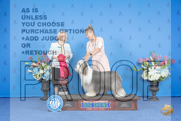 Bearded Collie #6 FRI G2 Judge Annella Cooper__JP_9590_Houston_2024_HR3