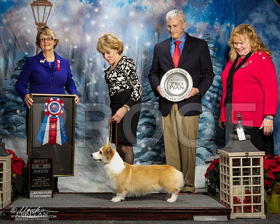 _ST_8953-DallasDec2014-HR3