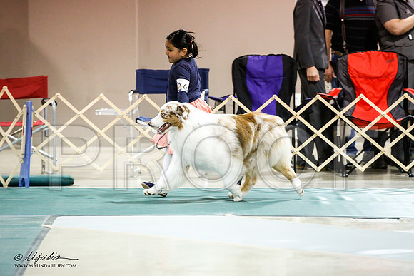 _JN_9075-ASCACollegeStationNov2014-HR3