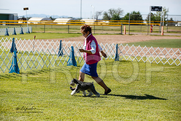 _JN_0550-AlamogordoOct2014-HR3