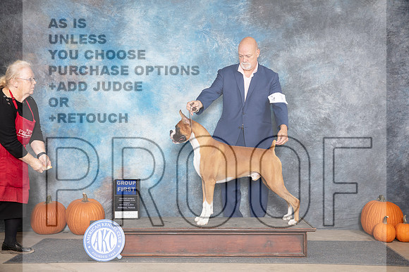 Boxer #7 Sun G1 Judge Jan Paulk__JP_9700_Humble_2024_HR3