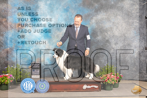 Border Collie #5 Fri G4 Judge Allen Odom_MJ_0082_SA_2022_HR3