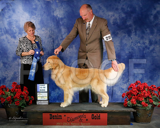 12-18D-8218-WFOct2013-HR