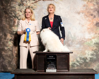 American Eskimo Sat S1 New Ch Stacey Hamilton Judge Barbara Trammell