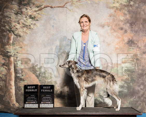 Silken Windhound Sat S2 Best Female Jan Decker-AddisonUKC_SR_7810-HR3