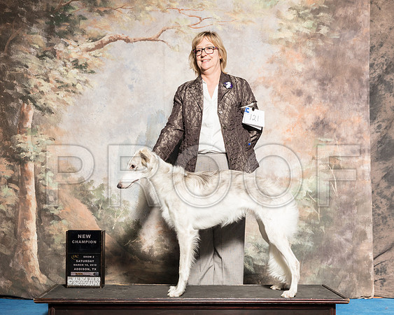 Silken Windhound Sat S2 New Ch Vicki Frey-AddisonUKC_SR_7820-HR3