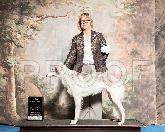 Silken Windhound Sat S2 New Ch Vicki Frey-AddisonUKC_SR_7822-HR3