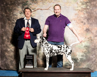 Dalmatian Sat S2 G2 Dana Parker Judge Joseph Allen