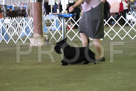 MJS_6055