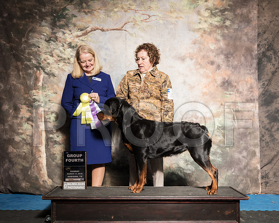 Rottweiler Sun G4 Karen Judge Barbie Trammell-AddisonUKC_SR_7870-HR3