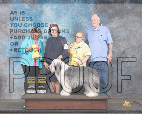 Bearded Collie #307 G4 Sat Judge Brenda and Jennifer Landers-_JP_2725e_Longview TX 2024-HR3