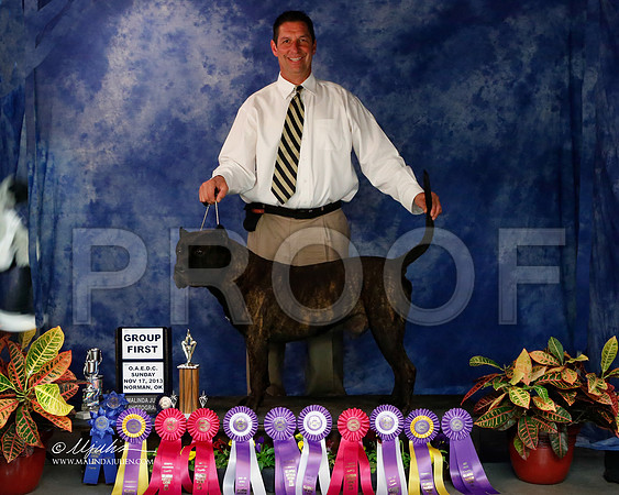 PdPc-9074-NormNov2013-HR