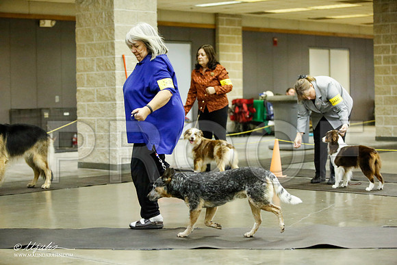 _JJ_7045-BeltonJan2015IABCA-HR3