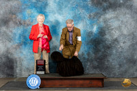 Puli #5 Sun G2 Judge Sharon Newcomb