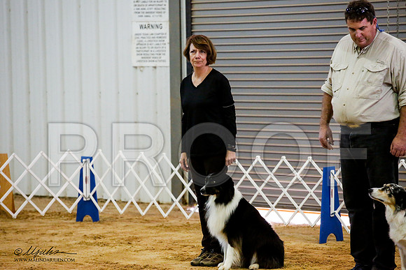 _JJ_7787-ASCACollegeStationNov2014-HR3