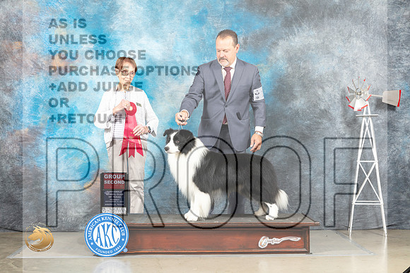 Border Collie #11 Thur G2 Judge Sharon Derrick_MJ_3873e_Amarillo_2022_HR3