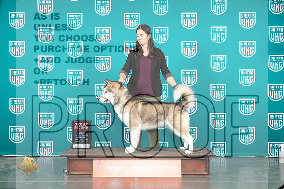 Alaskan Malamute #104 Sat G2 Judge Valerie Piltz_JP_5413_UKCVA2023_HR3