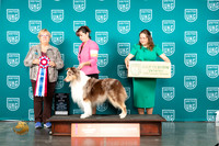 Australian Shepherd #617 Sat VBIS Judge Mary Ellen Meyer