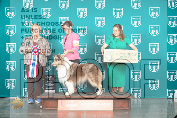 Australian Shepherd #617 Sat VBIS Judge Mary Ellen Meyer_JP_5471_UKCVA2023_HR3