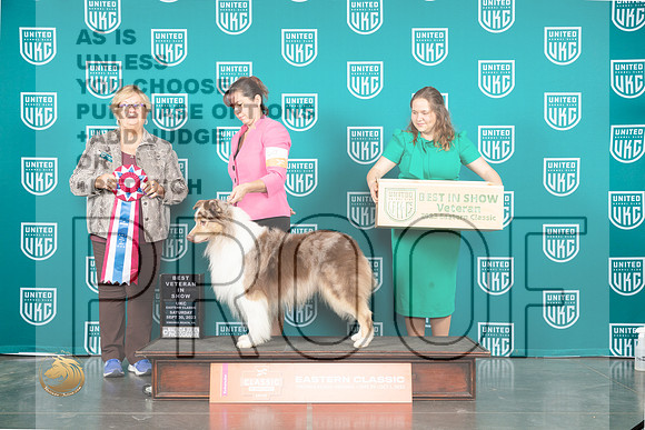 Australian Shepherd #617 Sat VBIS Judge Mary Ellen Meyer_JP_5472_UKCVA2023_HR3