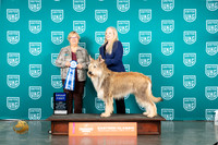 Berger Picard #185 Sat G1 Judge Mary Ellen Meyer