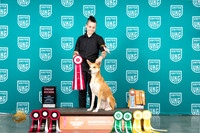 Carolina Dog #128 Fri Sat Sun G2 G4 G3 G3