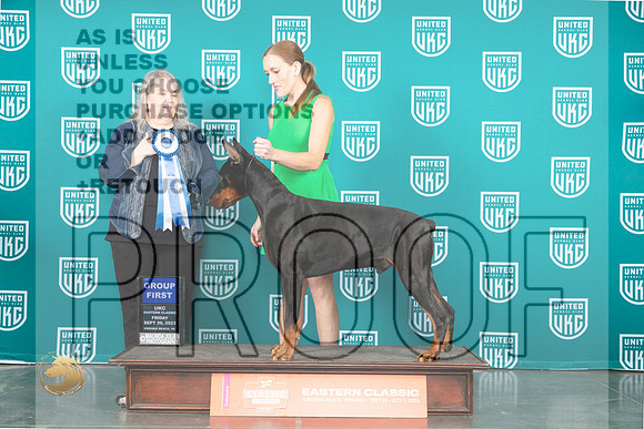 Doberman Pinscher #112 Fri SSun AG1 Judge Malinda Julien_JP_5751_UKCVA2023_HR3