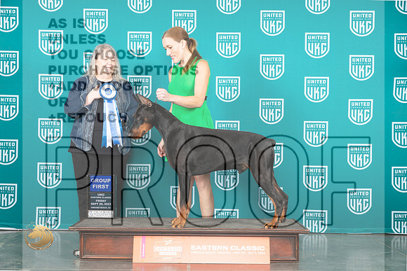 Doberman Pinscher #112 Fri SSun AG1 Judge Malinda Julien_JP_5754_UKCVA2023_HR3