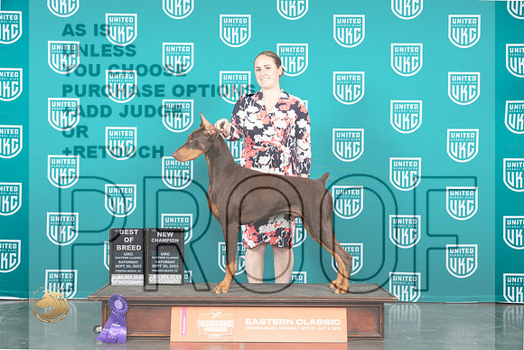 Doberman Pinscher #134 Sat BOCH _JP_5709_UKCVA2023_HR3