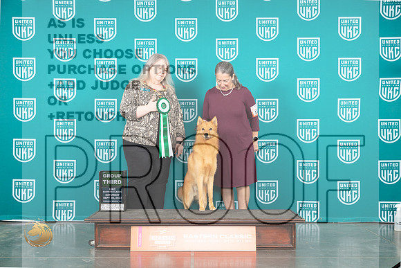 Finnish Spitz #133 Sat G3 Judge Malinda Julien_JP_5430_UKCVA2023_HR3