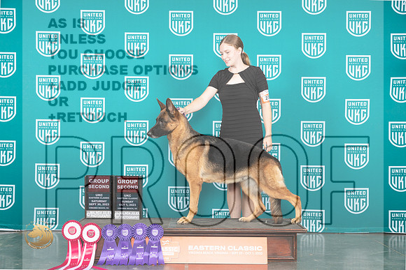 German Shepherd Dog #277 Sat Sun BOB GCh_JP_5640_UKCVA2023_HR3