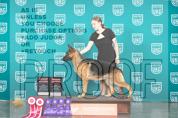 German Shepherd Dog #277 Sat Sun BOB GCh_JP_5643_UKCVA2023_HR3
