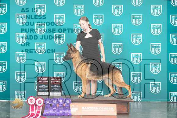 German Shepherd Dog #277 Sat Sun BOB GCh_JP_5644_UKCVA2023_HR3