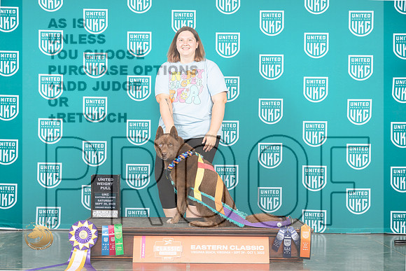 Siberian Husky #168 Sun UWP Judge Tony Flynn_JP_5823_UKCVA2023_HR3