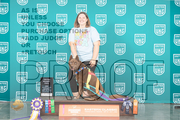 Siberian Husky #168 Sun UWP Judge Tony Flynn_JP_5826_UKCVA2023_HR3